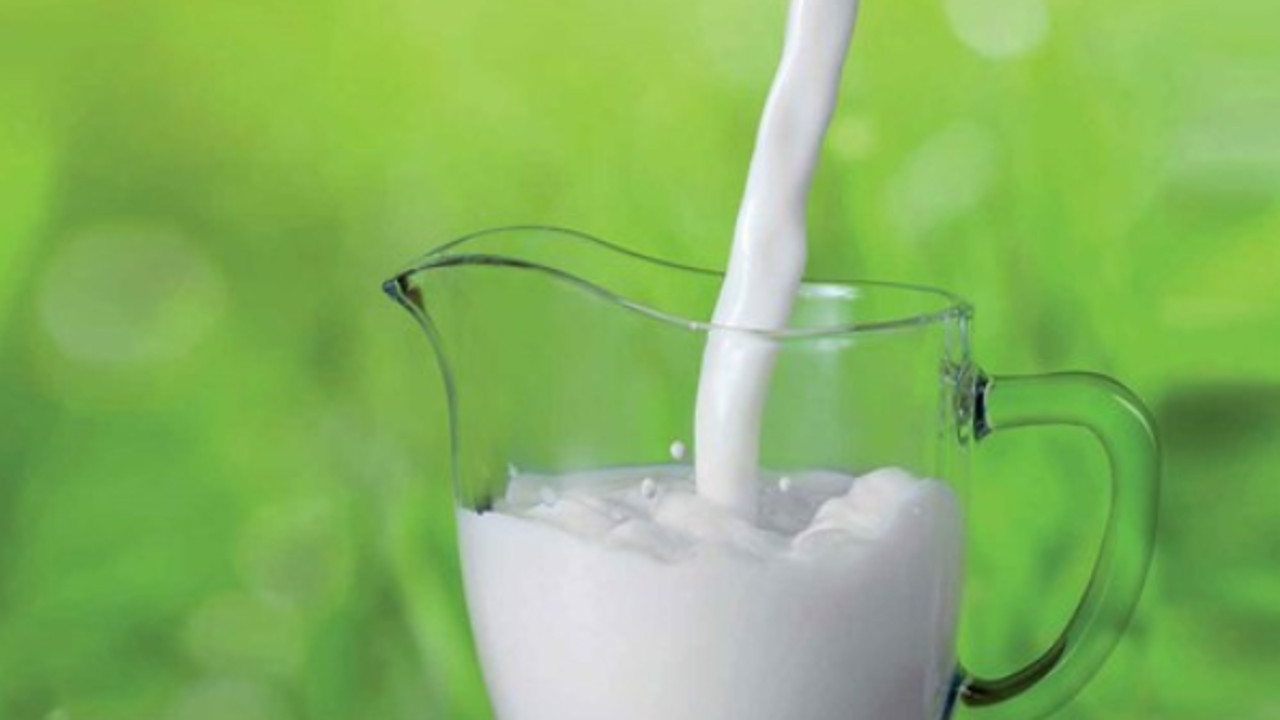 Dairy Refrigeration Segment